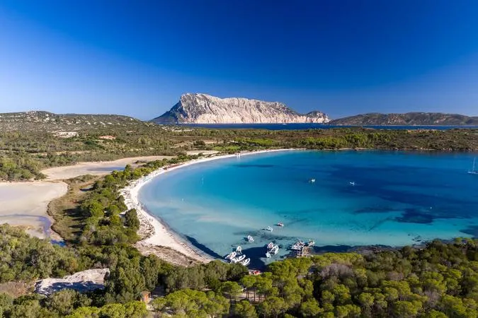 Boat excursion to Tavolara with dolphin sighting