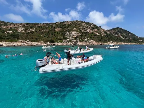 Escursione in barca a Tavolara con avvistamento delfini