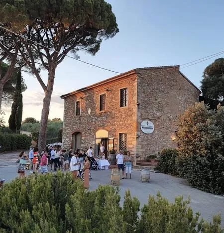 Degustazione vini sulle colline pisane a Terricciola