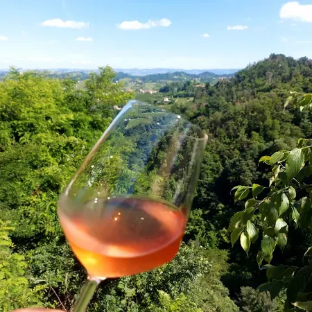 Degustazione vini e visita alla Cantina Bajaj nel Roero