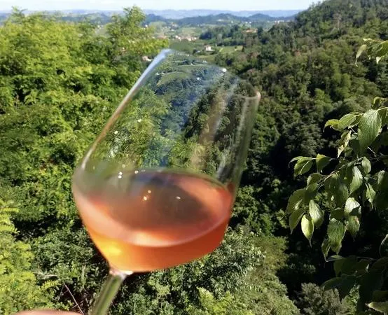 Wine tasting and visit to Bajaj Winery in Roero