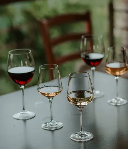 Degustazione vini e visita alla Cantina Bajaj nel Roero