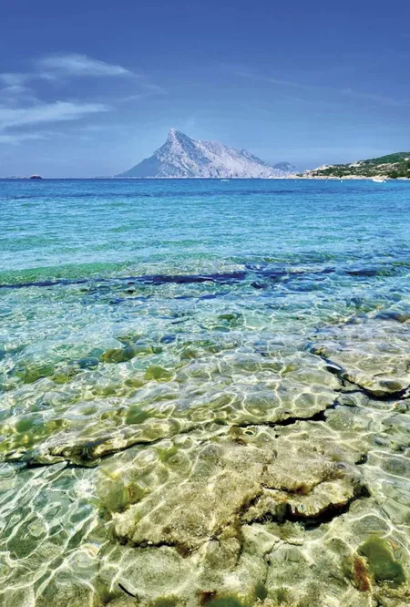 Escursione in barca di mezza giornata in condivisione a Tavolara e Molara con soste bagno
