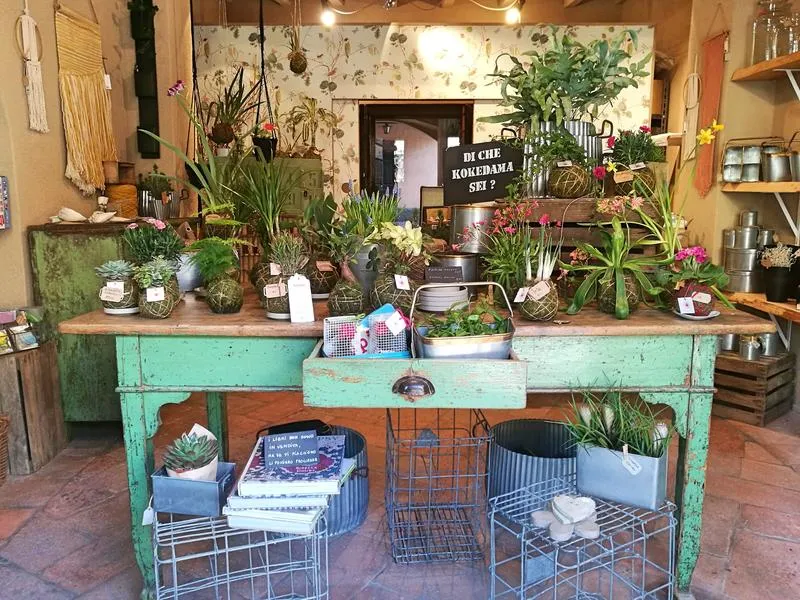 Corso Kokedama a Milano