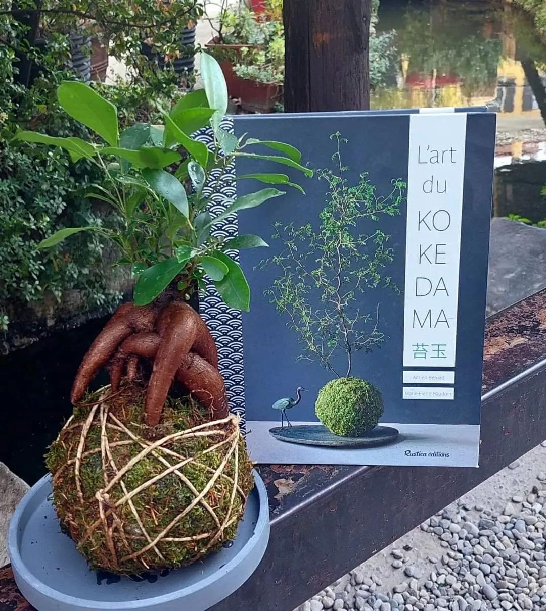 Corso Kokedama a Milano