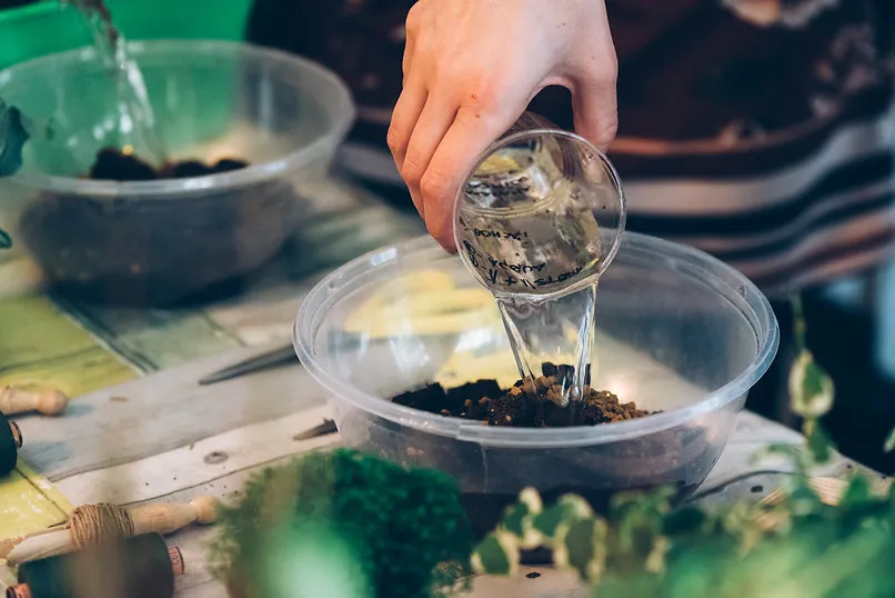 Corso Kokedama a Milano