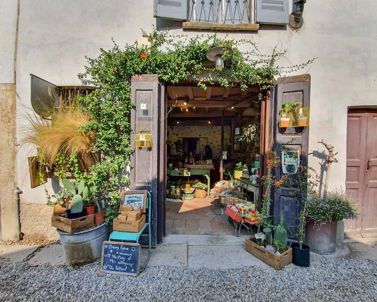 Workshop di Terrarium a Milano