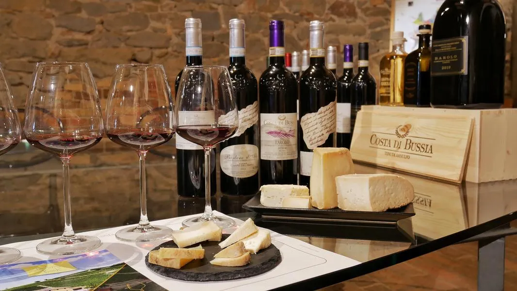 Degustazione vini e formaggi con visita in cantina nelle Langhe