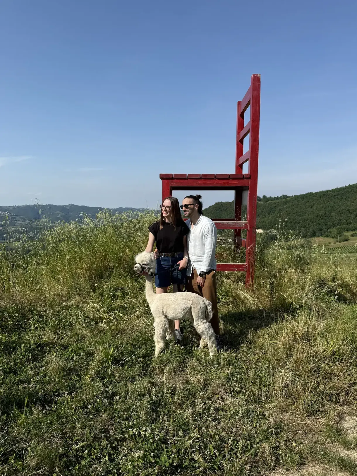Passeggiata con alpaca tra Langhe e Monferrato a Vesime