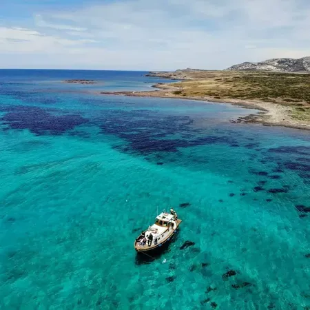Escursione Privata Asinara in barca nel Parco Nazionale con soste e pranzo incluso