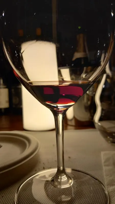 Esperienza di caccia al tartufo delle Langhe e degustazione vini