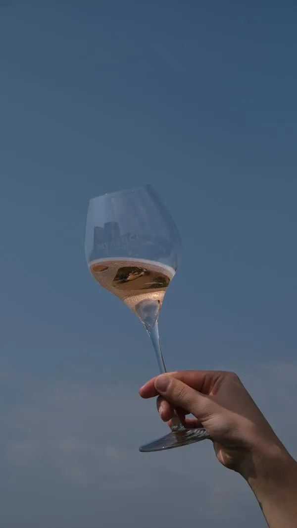 Visita in cantina e degustazione di prosecco in terrazza a Valdobbiadene