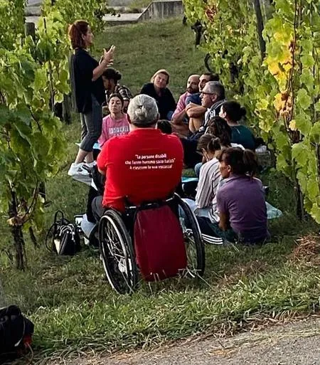 Tuscan wine tasting with winery visit outside Pisa
