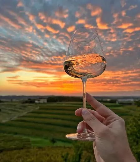 Tuscan wine tasting with winery visit outside Pisa