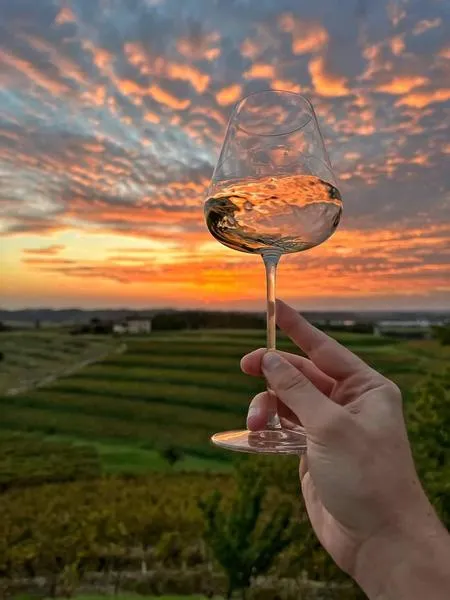 Degustazione di vini toscani con visita in cantina fuori Pisa