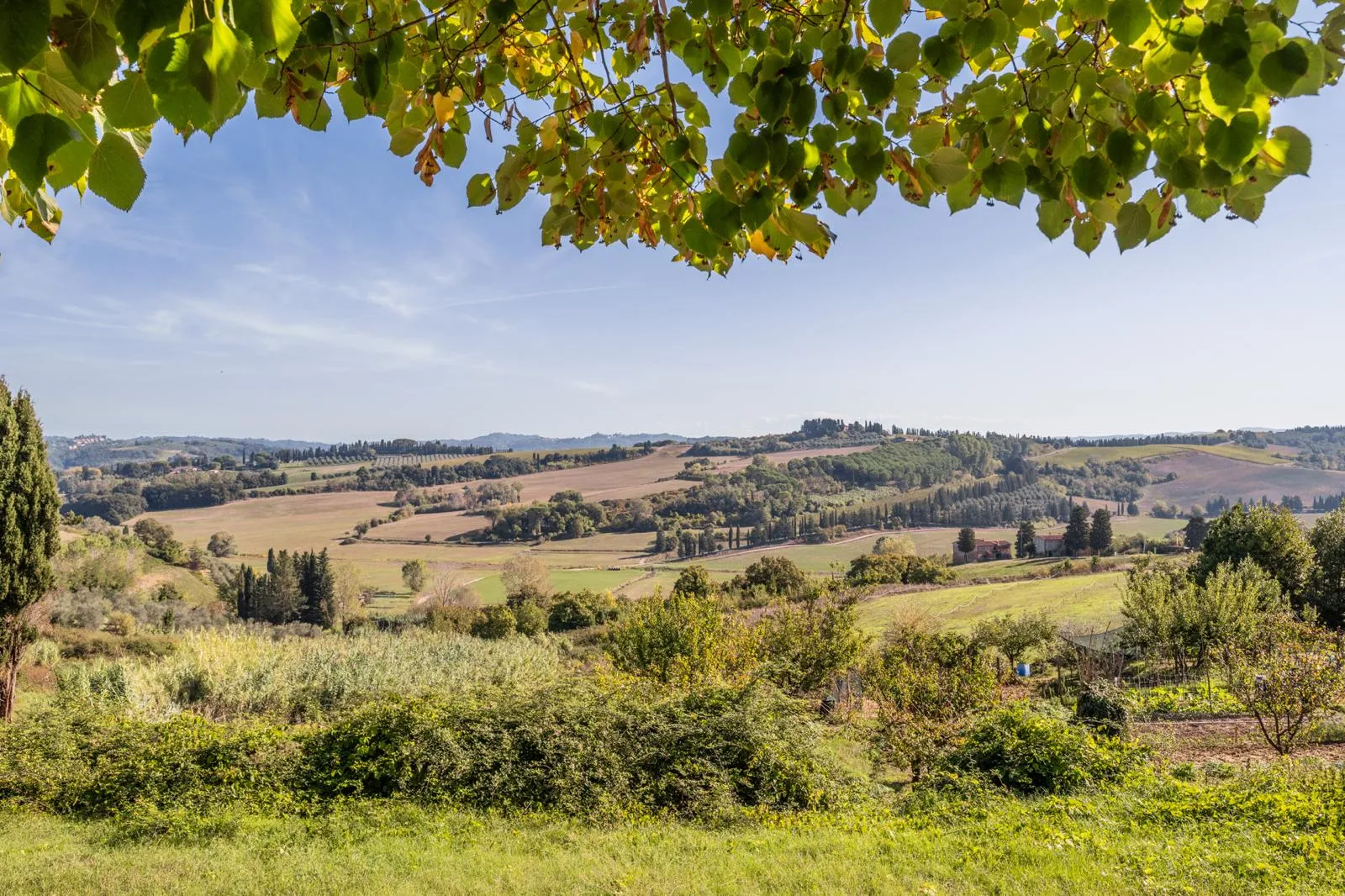 Degustazione di vini toscani con visita in cantina fuori Pisa