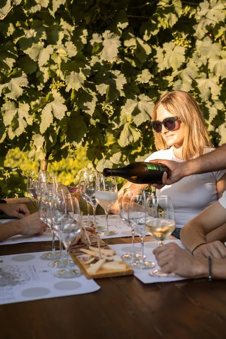 Vineyard walk with winery visit and tasting in Valdobbiadene