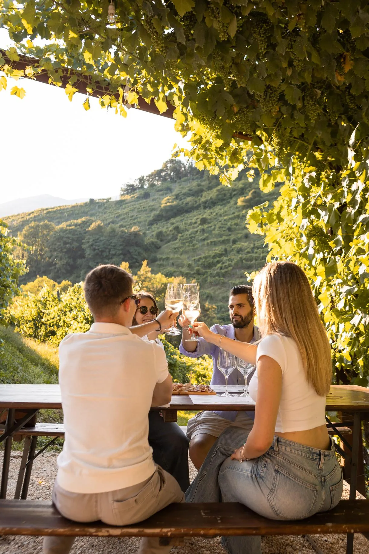 Passeggiata in vigna con visita e degustazione in cantina a Valdobbiadene