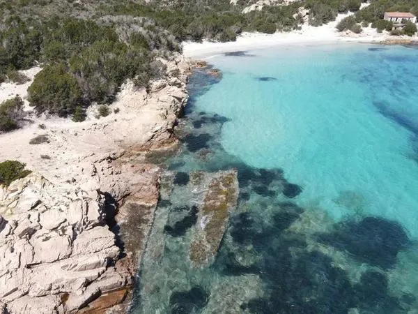 Escursione in motonave a Spargi e Budelli da Palau