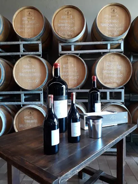 Wine tour con un produttore