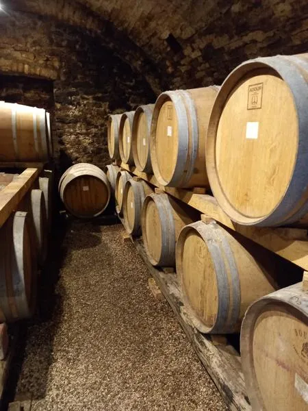 Wine tour con un produttore