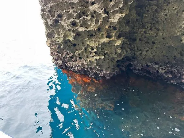 Boat tour di gruppo con degustazione e snorkeling a Taormina