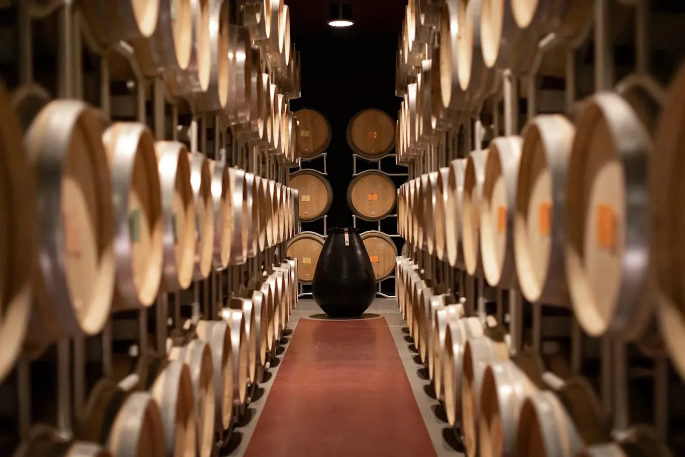 Visita in cantina e degustazione vini in Val d'Orcia a Montalcino