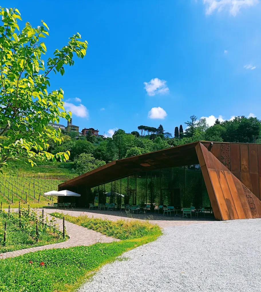 Pranzo con degustazione di vini in collina vicino Bergamo