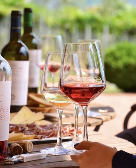 Wine tasting and tour of winery and vineyard in Roseto degli Abruzzi