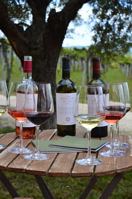 Degustazione vini e visita cantina e vigneto a Roseto degli Abruzzi