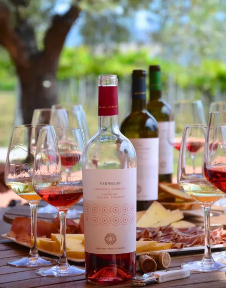 Degustazione di 6 vini con passeggiata in vigneto a Roseto degli Abruzzi