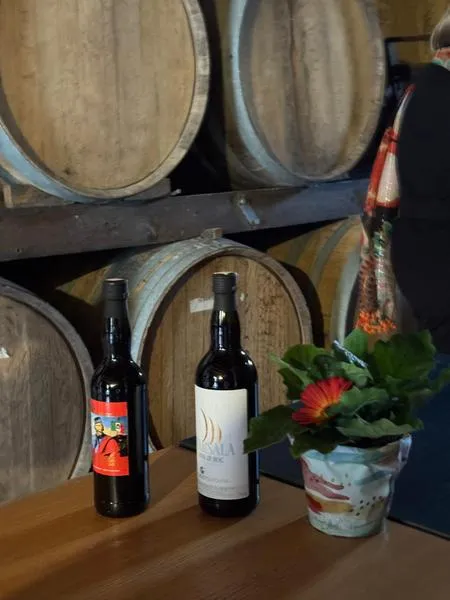 Degustazione di vini e prodotti locali presso la cantina Gandolfo Vini a Marsala