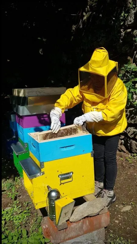 Beehive Visit with Picnic and Honey Tasting at the Feet of Monte Rosa