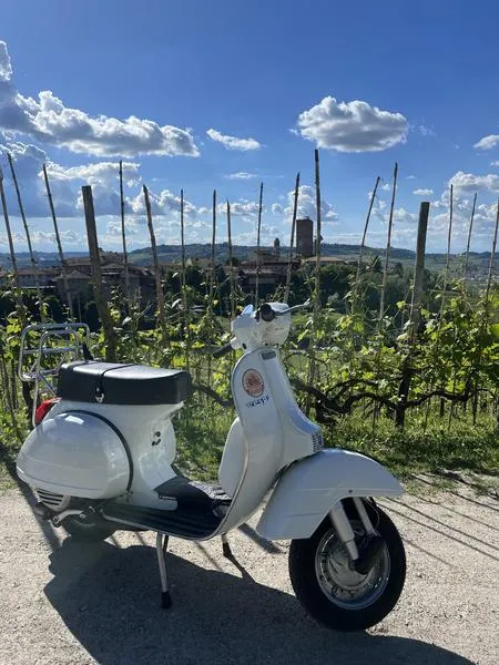 Tour in Vespa tra le Langhe del Barolo e del Barbaresco