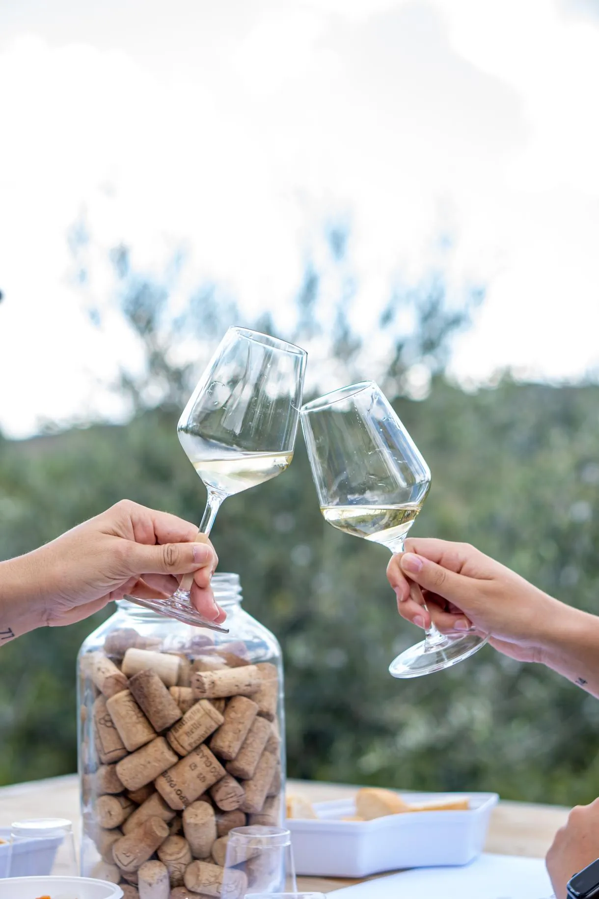 Caccia al tartufo con degustazione di vini e prodotti tipici vicino Milano
