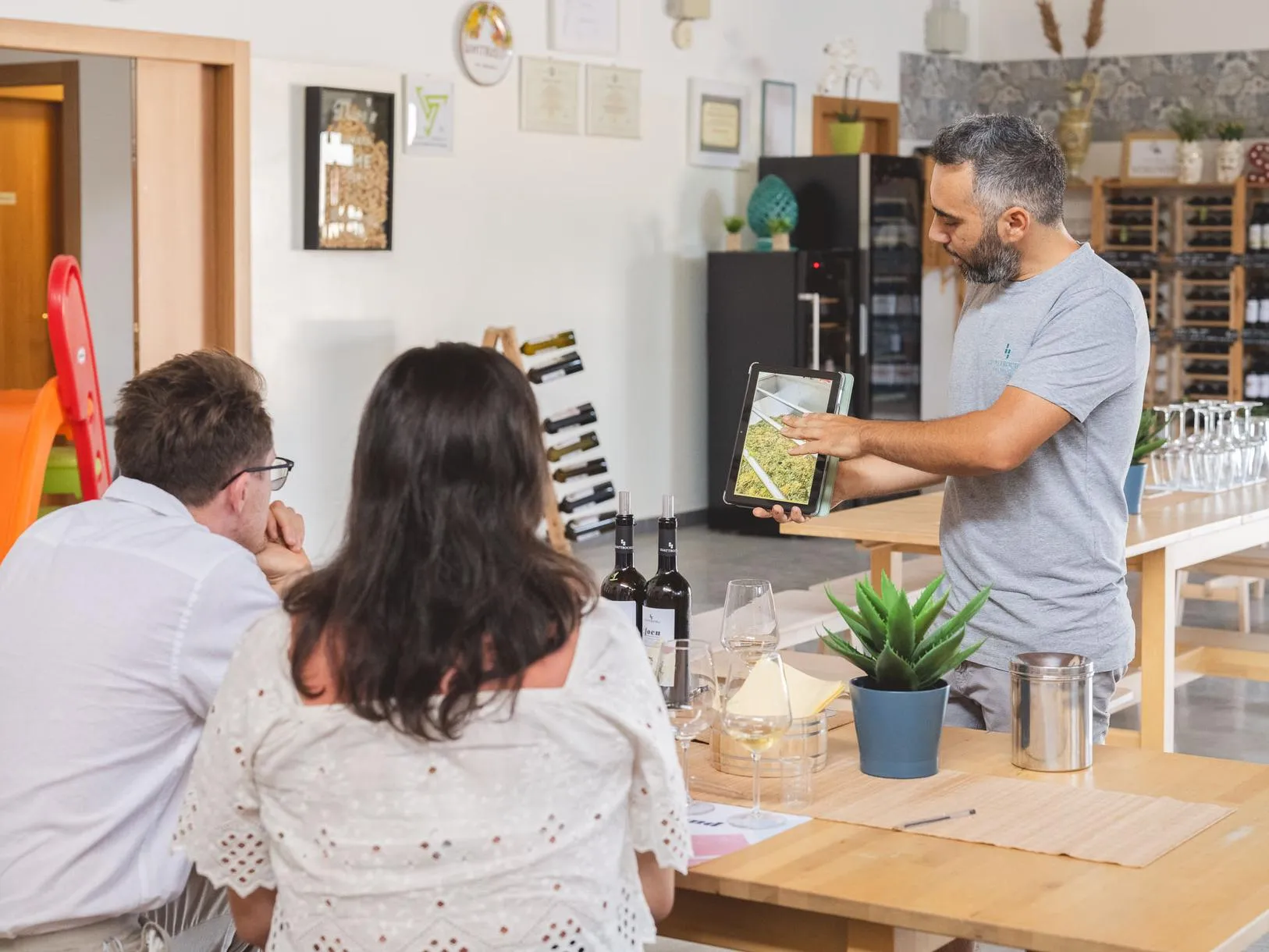 Crea il tuo vino presso una cantina biologica ad Alcamo