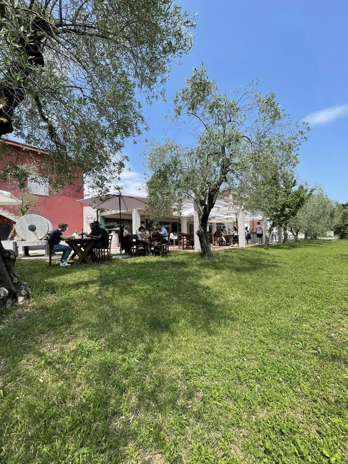 Visita al Frantoio con Degustazione di Olio e pranzo