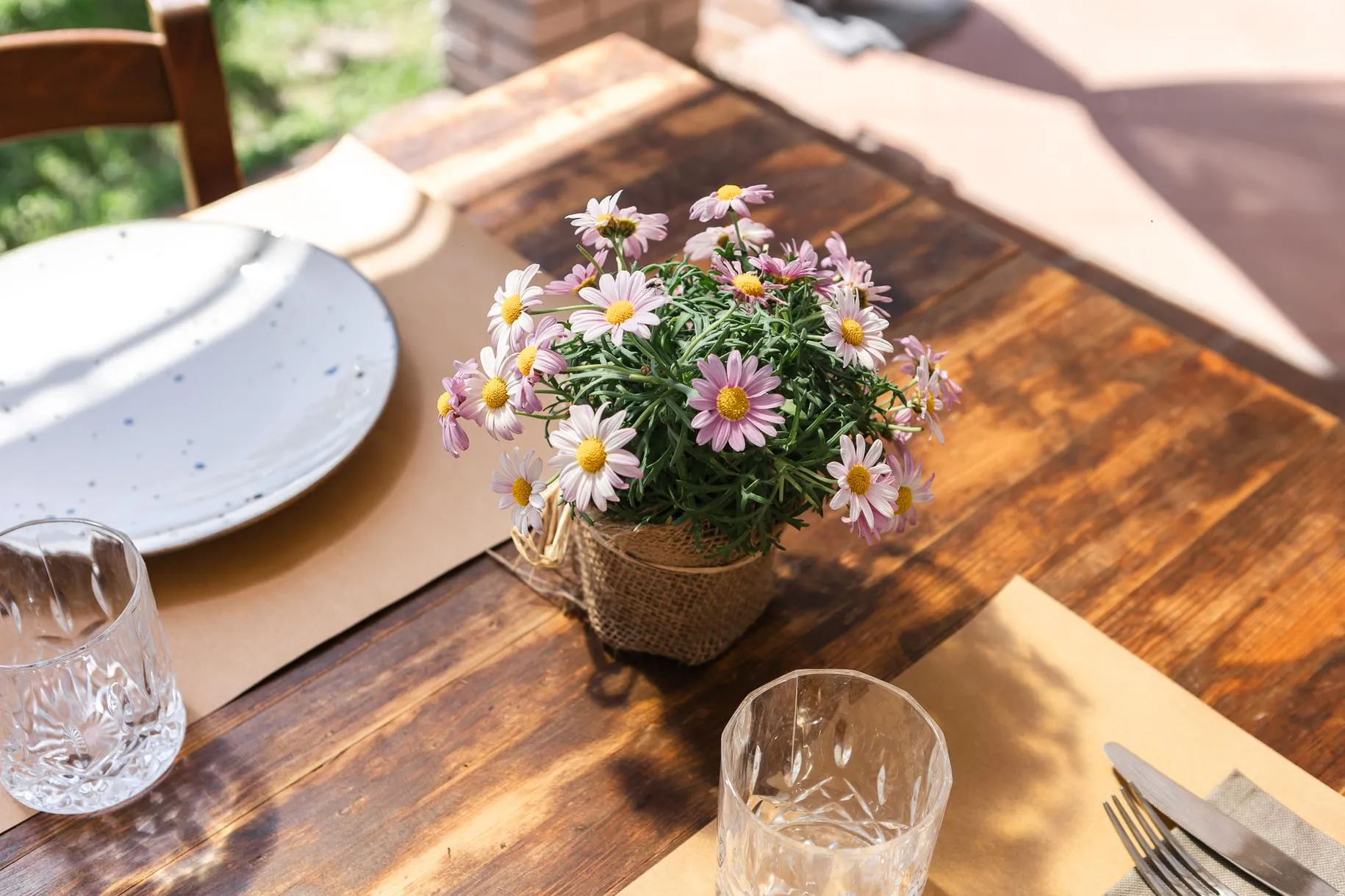 Visita al Frantoio con Degustazione di Olio e pranzo