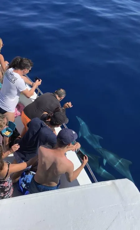 Gita in barca alle isola Gemini e alle Miniere di Capoliveri da Marina di Campo