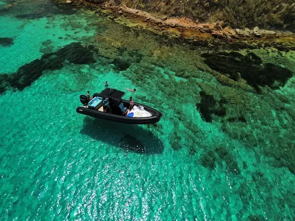 Escursione in gommone con avvistamento delfini da Golfo Aranci