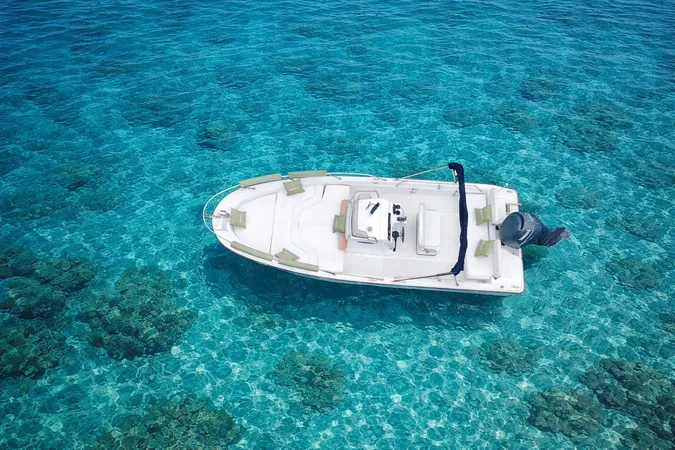 Tour in barca nel Golfo dei Poeti da La Spezia con aperitivo