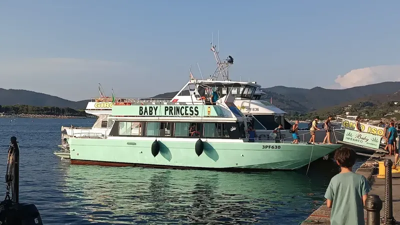 Tour in barca di mezza giornata da Marina di Campo a Sant'Andrea