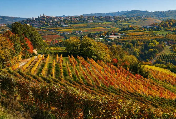 Visita in cantina con degustazione vini a Diano d'Alba