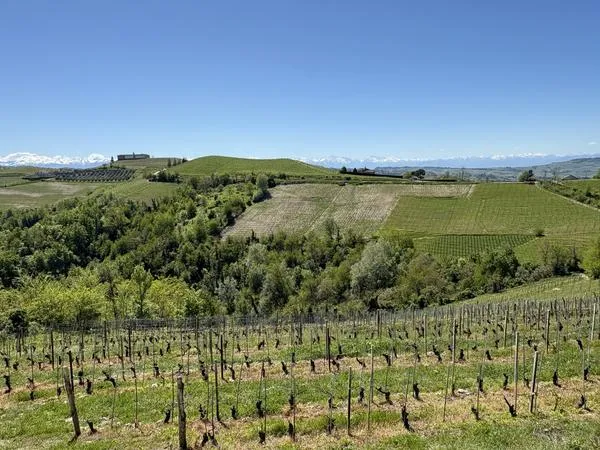 Visita con degustazione