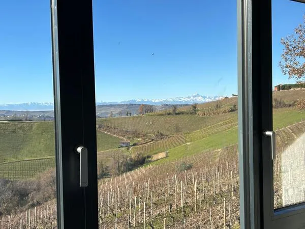 Visita in cantina con degustazione vini a Diano d'Alba