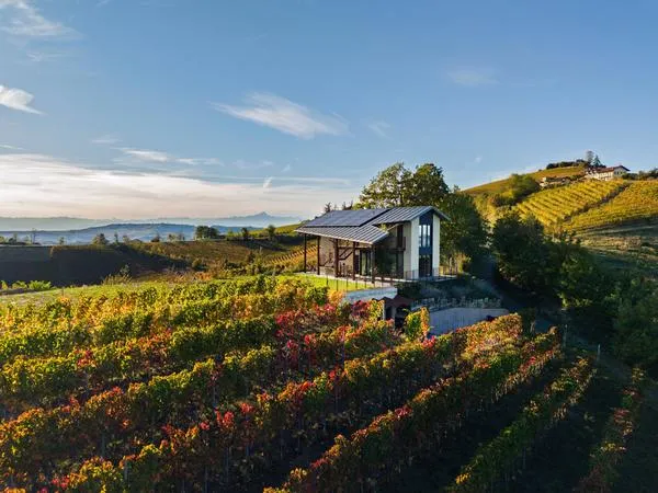 Visita in cantina con degustazione vini a Diano d'Alba
