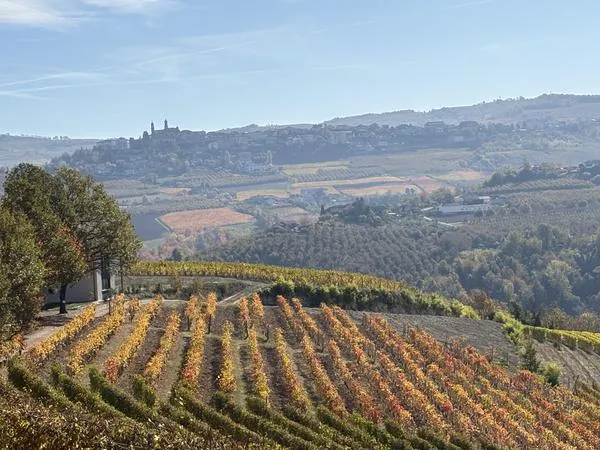 Visita in cantina con degustazione vini a Diano d'Alba