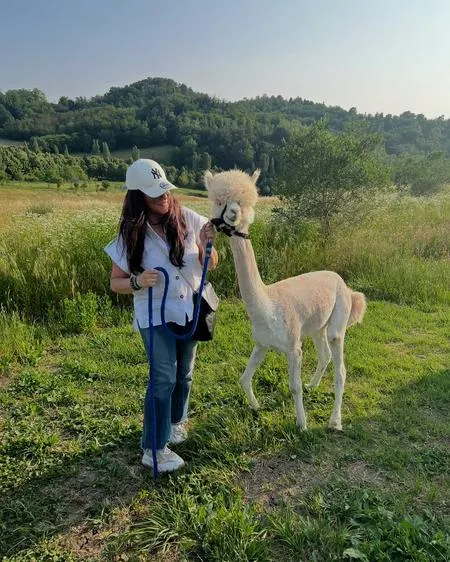 Passeggiata con Alpaca
