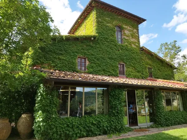 Degustazione verticale vini, olio e grappa con visita alla Tenuta degli Dei nel Chianti