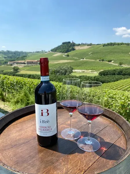 Degustazione vini a Verduno